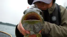 Video thumb for Flyfishing for bass and perch in the rain