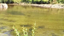 Video thumb for Real fly-fishing