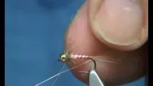 Video thumb for Small Polish Nymph
