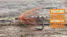 Video thumb for Autumn Fly Variant