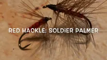 Video thumb for Red Hackle or Soldier Palmer