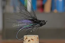 User submitted picture: After Dinner Mint