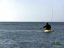 Computer screen wallpaper: Landing a small sea trout