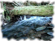User submitted picture: winter on the creek