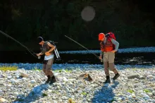 User submitted picture: on the search again