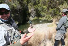 User submitted picture: The crowd goes wild!