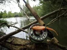 User submitted picture: Looking for pike