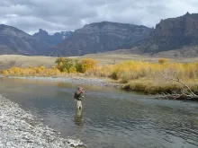 User submitted picture: I normally take the entir...