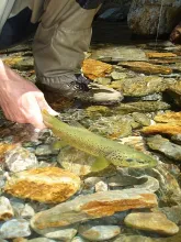 User submitted picture: clear water... 