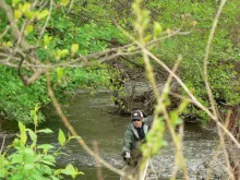 User submitted picture: city river