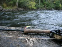 User submitted picture: My musky/nothern/smallmou...