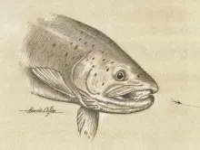 User submitted picture: "Lunch On The Run" is a...