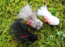 User submitted picture: Badmintonballs. Big great...