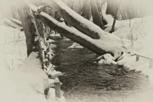 User submitted picture: winter spell (2)