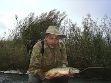 User submitted picture: Hard fighting Smallmouth ...