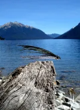 User submitted picture: Epoxi minnow for the big ...