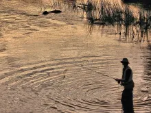 User submitted picture: ...in the evening...