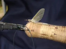 User submitted picture: Lake St. Peter , Ontario ...