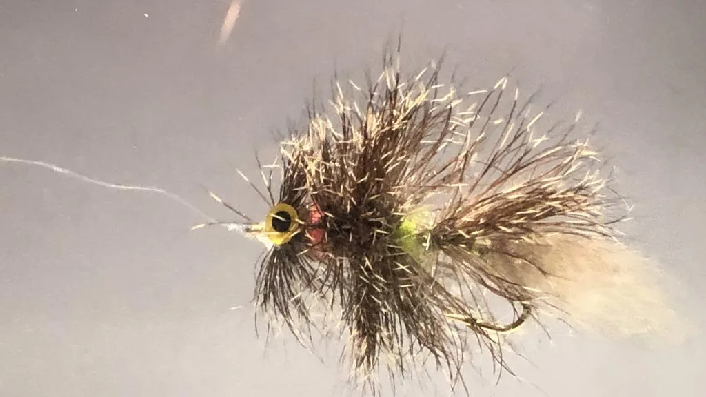 User submitted picture: Deer-All Fly swim test