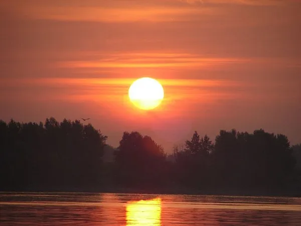 User submitted picture: Sun Goes Up