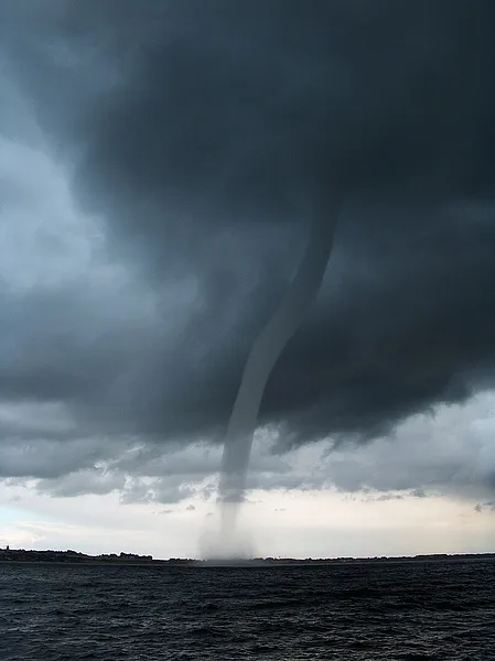 User submitted picture: We ran into this nasty we...