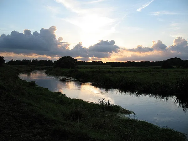 User submitted picture: Looking for a rise