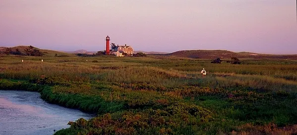 User submitted picture: The Friends of Monomoy ru...