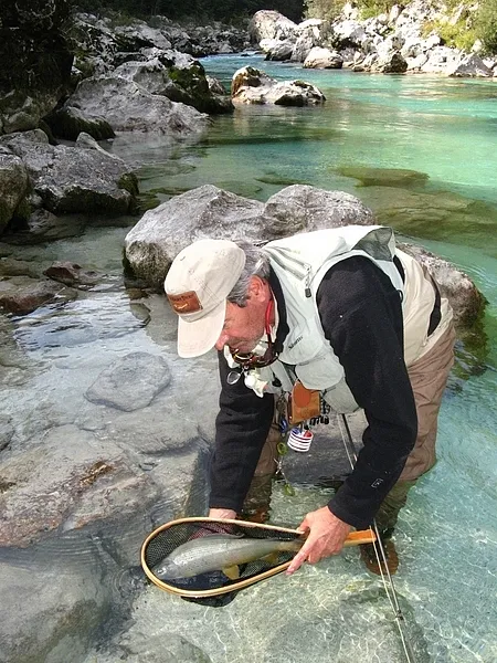 User submitted picture: Grayling from the canyon
...