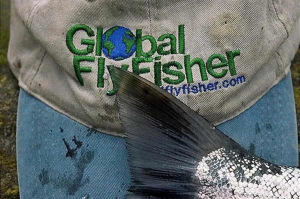 User submitted picture: The Cap