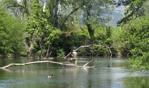 User submitted picture: This is not me but anothe...