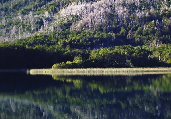 User submitted picture: Reflections in the pond