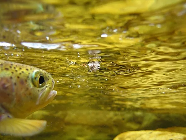 User submitted picture: Rainbow looking up at a G...