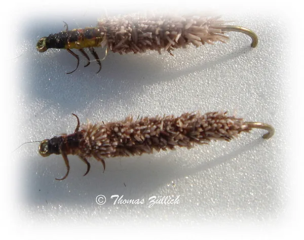 User submitted picture: Cased Caddis