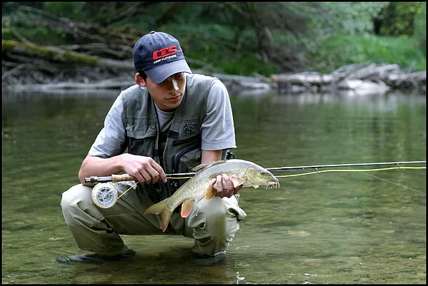 User submitted picture: golden barb