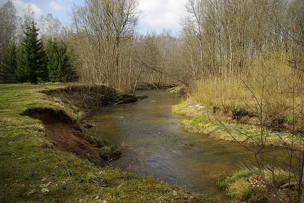 User submitted picture: Nice spring day