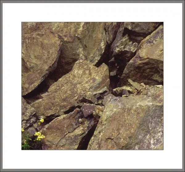 User submitted picture: camera nikon/f70, zoom ni...