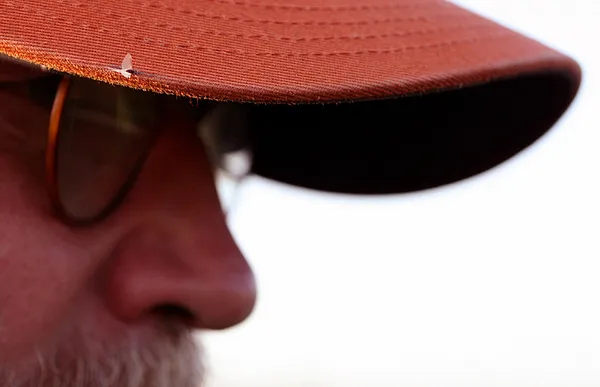 User submitted picture: Resting Caenis